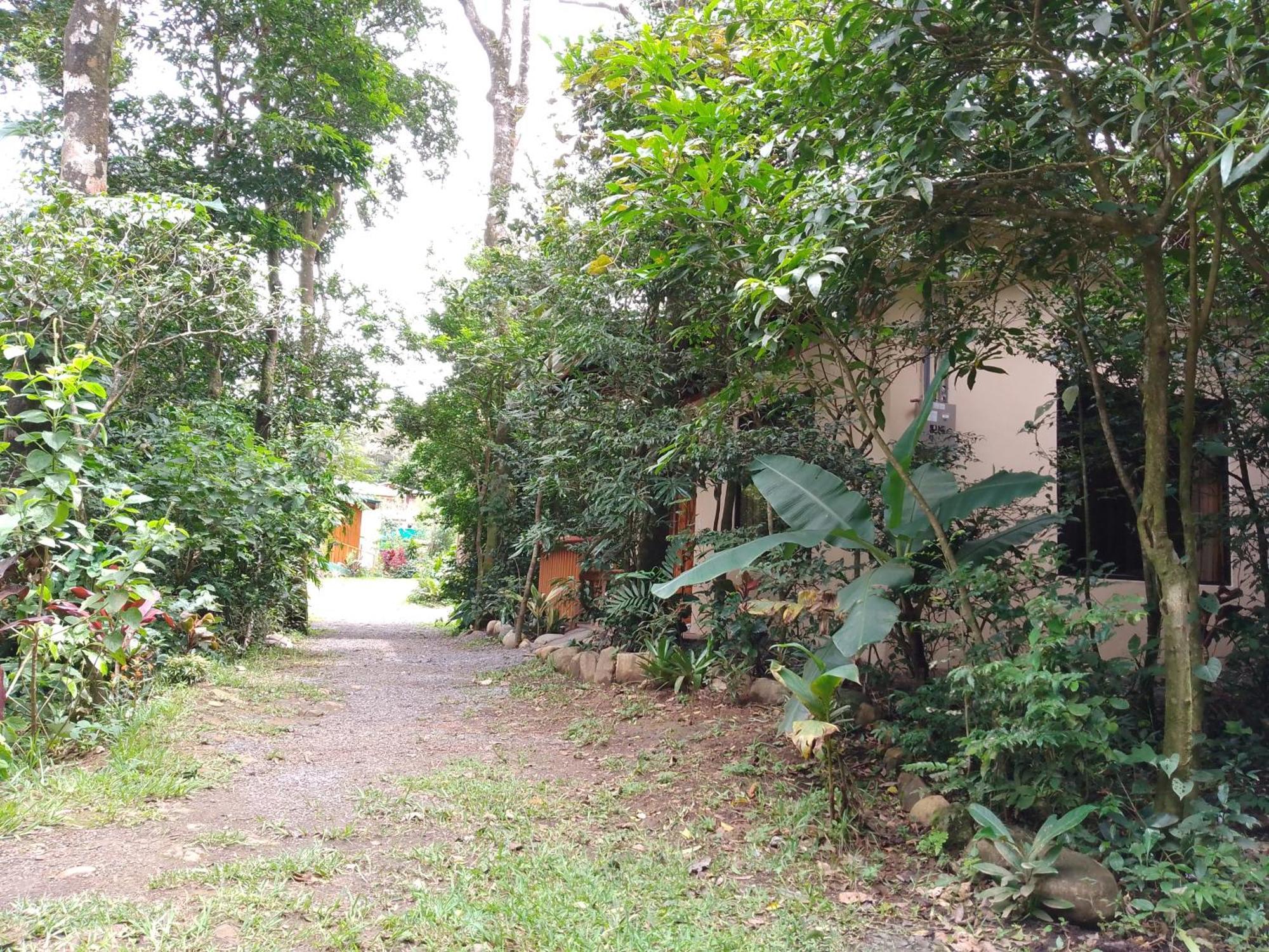 Casitas Del Bosque Monteverde. Quarto foto